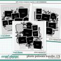 Cindy's Layered Templates - Photo Palooza Bundle 172 by Cindy Schneider