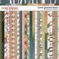 Love Grows Here Papers by Connection Keeping Love Grows Here Papers by Connection Keeping