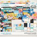 Awkward: Bundle by Kristin Cronin-Barrow