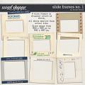 CU Slide Frames no. 1 by Tracie Stroud