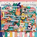 It's Your Birthday by LJS Designs