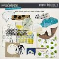 CU Paper Bits no. 4 by Tracie Stroud