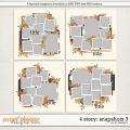 4 Story: Snapshots 3 by LJS Designs  