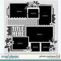 Cindy's Layered Templates - Photo Palooza 518 by Cindy Schneider