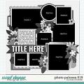 Cindy's Layered Templates - Photo Palooza 519 by Cindy Schneider