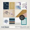 One Of A Kind: Pocket Cards | Designed by Soco and EHStudios One Of A Kind: Pocket Cards | Designed by Soco and EHStudios