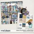 One Of A Kind: Collection | Designed by Soco and EHStudios