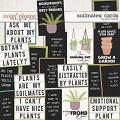  Soilmates: Cards by Erica Zane