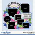 Cindy's Layered Templates - Photo Palooza 522 by Cindy Schneider