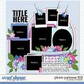 Cindy's Layered Templates - Photo Palooza 523 by Cindy Schneider Cindy's Layered Templates - Photo Palooza 523 by Cindy Schneider