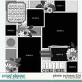 Cindy's Layered Templates - Photo Palooza 524 by Cindy Schneider