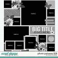 Cindy's Layered Templates - Photo Palooza 526 by Cindy Schneider Cindy's Layered Templates - Photo Palooza 526 by Cindy Schneider