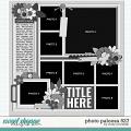 Cindy's Layered Templates - Photo Palooza 527 by Cindy Schneider
