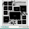 Cindy's Layered Templates - Photo Palooza 532 by Cindy Schneider