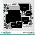 Cindy's Layered Templates - Photo Palooza 534 by Cindy Schneider