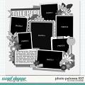 Cindy's Layered Templates - Photo Palooza 537 by Cindy Schneider Cindy's Layered Templates - Photo Palooza 537 by Cindy Schneider