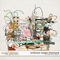 Ordinary Magic Elements by Studio Basic