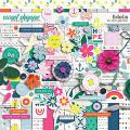 Fidelis Kit by Sara Gleason Fidelis Kit by Sara Gleason