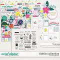 Fidelis Collection by Sara Gleason