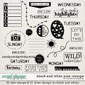 Black & White: June Stamps by Connection Keeping Black & White: June Stamps by Connection Keeping