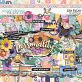 My Type by Erica Zane My Type by Erica Zane