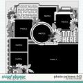 Cindy's Layered Templates - Photo Palooza 542 by Cindy Schneider