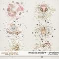 Week in Review - Overlays by Red Ivy Design