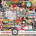 Creative Chronicles: Inventory Of Me Hodgepodge Frenzy by Little Butterfly Wings & Studio Basic Creative Chronicles: Inventory Of Me Hodgepodge Frenzy by Little Butterfly Wings & Studio Basic