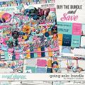 Going Solo: Collection Bundle by Meagan's Creations Going Solo: Collection Bundle by Meagan's Creations