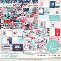 True North Bundle by Traci Reed