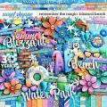 Remember the Magic: BLIZZARD BEACH by Studio Flergs Remember the Magic: BLIZZARD BEACH by Studio Flergs