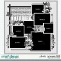 Cindy's Layered Templates - Photo Palooza 553 by Cindy Schneider