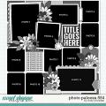 Cindy's Layered Templates - Photo Palooza 554 by Cindy Schneider Cindy's Layered Templates - Photo Palooza 554 by Cindy Schneider