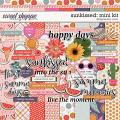 Sunkissed: Mini Kit | Designed by Soco