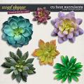 CU Faux Succulents by Clever Monkey Graphics  