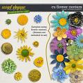 CU Flower Centers by Clever Monkey Graphics CU Flower Centers by Clever Monkey Graphics