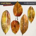 CU Silk Leaves 5 by Clever Monkey Graphics CU Silk Leaves 5 by Clever Monkey Graphics