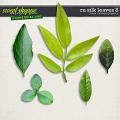 CU Silk Leaves 8 by Clever Monkey Graphics CU Silk Leaves 8 by Clever Monkey Graphics