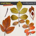 CU Silk Leaves 12 by Clever Monkey Graphics     