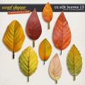 CU Silk Leaves 13 by Clever Monkey Graphics CU Silk Leaves 13 by Clever Monkey Graphics
