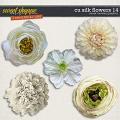 CU Silk Flowers 14 by Clever Monkey Graphics CU Silk Flowers 14 by Clever Monkey Graphics