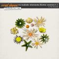 CU REALISTIC ELEMENTS | FLOWER CENTERS V.1 by The Nifty Pixel CU REALISTIC ELEMENTS | FLOWER CENTERS V.1 by The Nifty Pixel