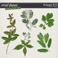 CU Foliage #10 by Red Ivy Design