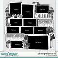 Cindy's Layered Templates - Photo Palooza 561 by Cindy Schneider Cindy's Layered Templates - Photo Palooza 561 by Cindy Schneider