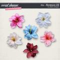 CU - Flowers 22 by lliella designs