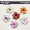 CU - Flowers 23 by lliella designs CU - Flowers 23 by lliella designs