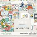 Class Notes Collection by Becca Bonneville Class Notes Collection by Becca Bonneville