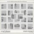 Simple Stories 9 by LJS Designs 