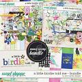 A Little Birdie Told Me Bundle by Pink Reptile Designs A Little Birdie Told Me Bundle by Pink Reptile Designs