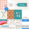 Toothy: Pocket Cards by Allison Pennington